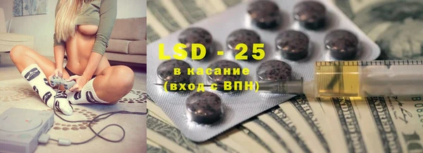 ECSTASY Ельня