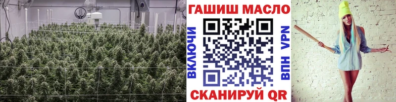 блэк спрут онион  Вытегра  ТГК вейп с тгк 