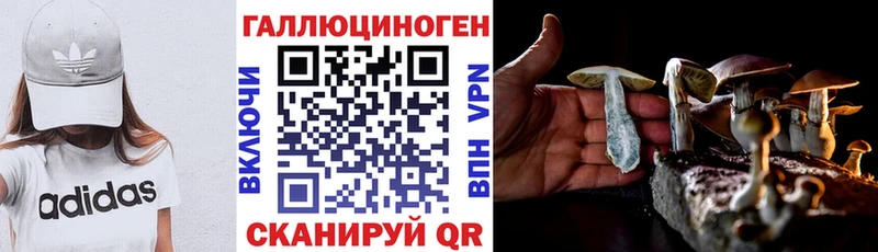 Псилоцибиновые грибы Magic Shrooms  Вытегра 